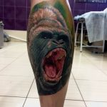 photo example of a gorilla tattoo 28.01.2019 №234 - drawing tattoo gorilla - tattoovalue.net