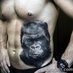 photo example of a gorilla tattoo 28.01.2019 №240 - drawing tattoo gorilla - tattoovalue.net