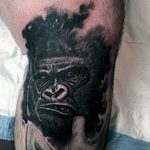 photo example of a gorilla tattoo 28.01.2019 №241 - drawing tattoo gorilla - tattoovalue.net
