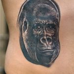 photo example of a gorilla tattoo 28.01.2019 №242 - drawing tattoo gorilla - tattoovalue.net