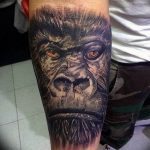 photo example of a gorilla tattoo 28.01.2019 №245 - drawing tattoo gorilla - tattoovalue.net