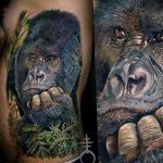 photo example of a gorilla tattoo 28.01.2019 №247 - drawing tattoo gorilla - tattoovalue.net