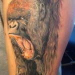 photo example of a gorilla tattoo 28.01.2019 №260 - drawing tattoo gorilla - tattoovalue.net