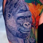 photo example of a gorilla tattoo 28.01.2019 №261 - drawing tattoo gorilla - tattoovalue.net