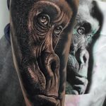 photo example of a gorilla tattoo 28.01.2019 №262 - drawing tattoo gorilla - tattoovalue.net