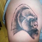 photo example of a gorilla tattoo 28.01.2019 №263 - drawing tattoo gorilla - tattoovalue.net
