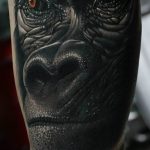 photo example of a gorilla tattoo 28.01.2019 №266 - drawing tattoo gorilla - tattoovalue.net