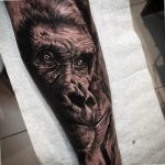 photo example of a gorilla tattoo 28.01.2019 №286 - drawing tattoo gorilla - tattoovalue.net