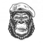photo example of a gorilla tattoo 28.01.2019 №293 - drawing tattoo gorilla - tattoovalue.net