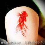 photo goldfish tattoo 04.01.2019 №004 - goldfish tattoo idea - tattoovalue.net