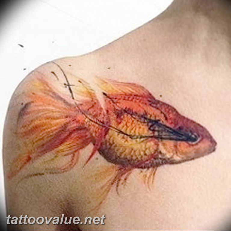 photo goldfish tattoo 04.01.2019 №007 - goldfish tattoo idea - tattoovalue.net