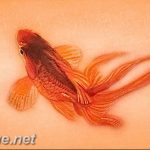 photo goldfish tattoo 04.01.2019 №020 - goldfish tattoo idea - tattoovalue.net
