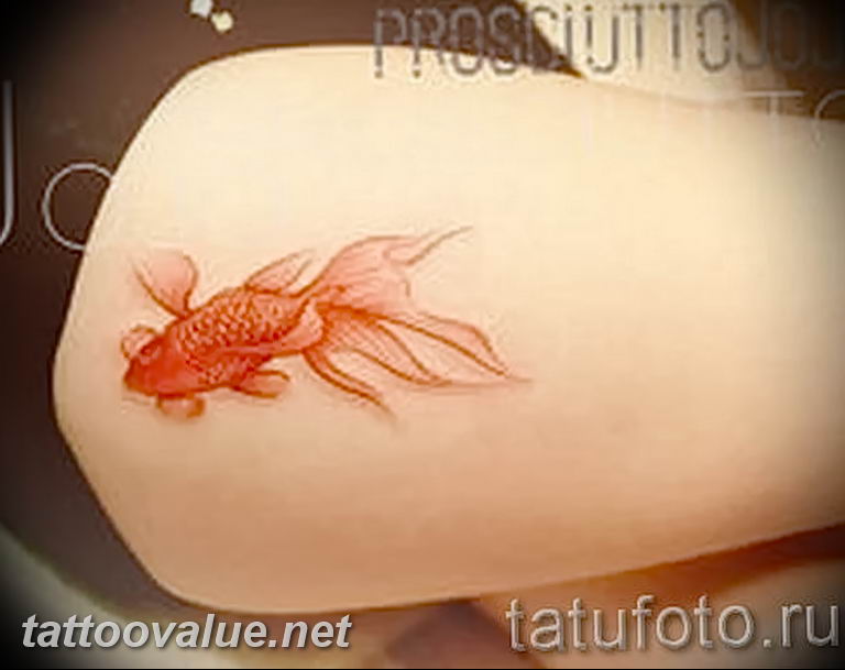 photo goldfish tattoo 04.01.2019 №030 - goldfish tattoo idea - tattoovalue.net