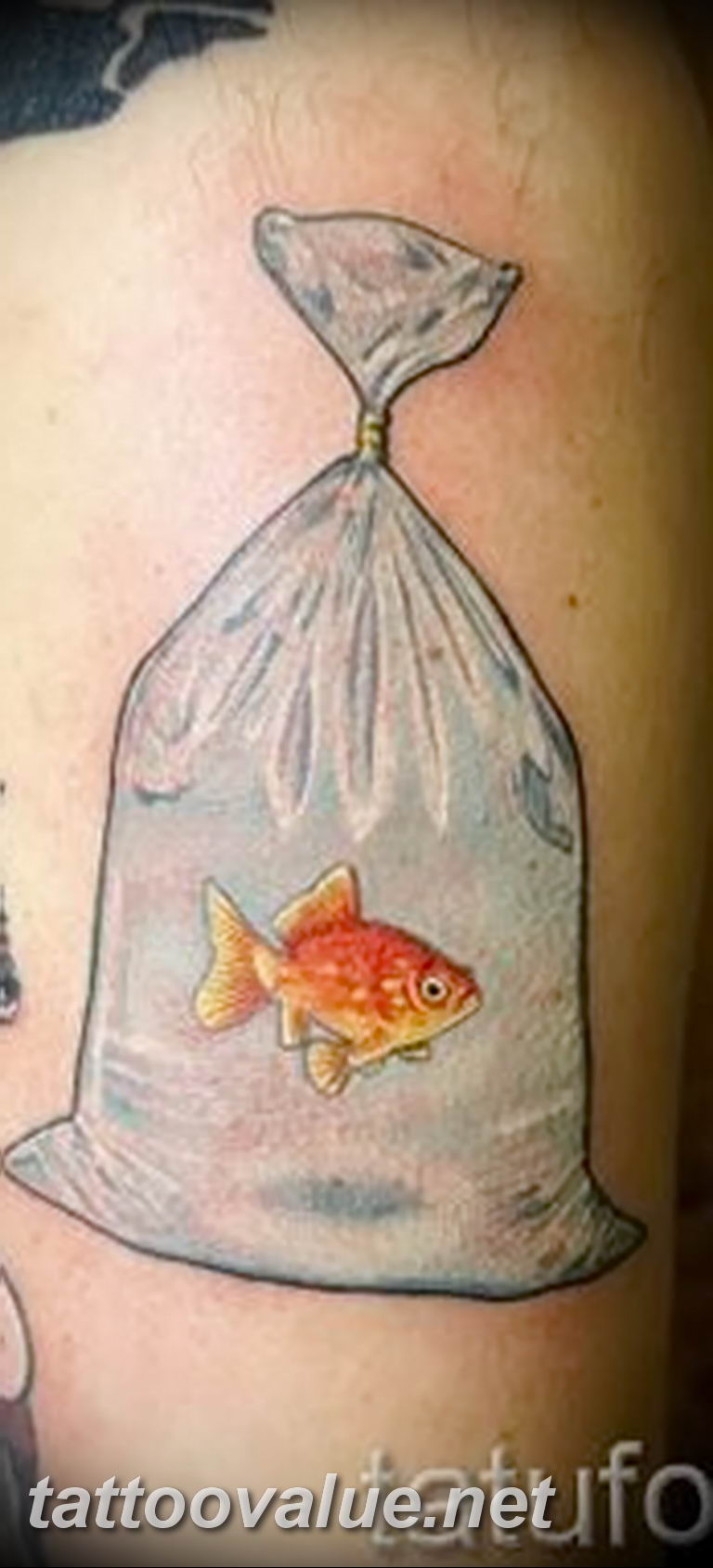 photo goldfish tattoo 04.01.2019 №045 - goldfish tattoo idea - tattoovalue.net