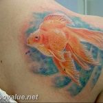 photo goldfish tattoo 04.01.2019 №056 - goldfish tattoo idea - tattoovalue.net