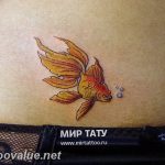 photo goldfish tattoo 04.01.2019 №057 - goldfish tattoo idea - tattoovalue.net