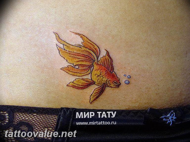 photo goldfish tattoo 04.01.2019 №057 - goldfish tattoo idea - tattoovalue.net