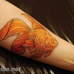 photo goldfish tattoo 04.01.2019 №066 - goldfish tattoo idea - tattoovalue.net