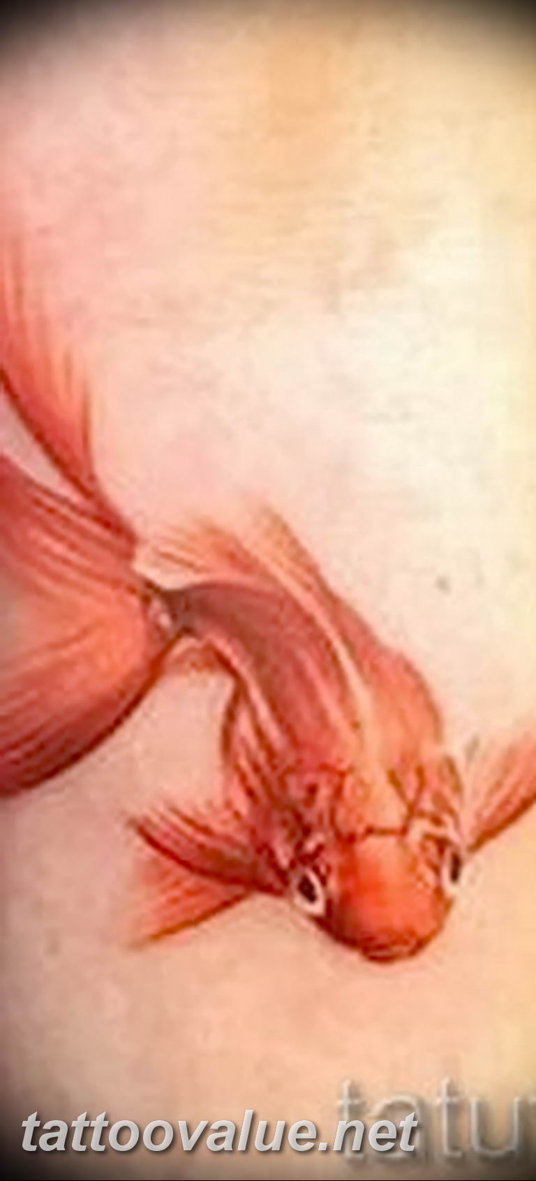 photo goldfish tattoo 04.01.2019 №067 - goldfish tattoo idea - tattoovalue.net