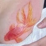 photo goldfish tattoo 04.01.2019 №073 - goldfish tattoo idea - tattoovalue.net