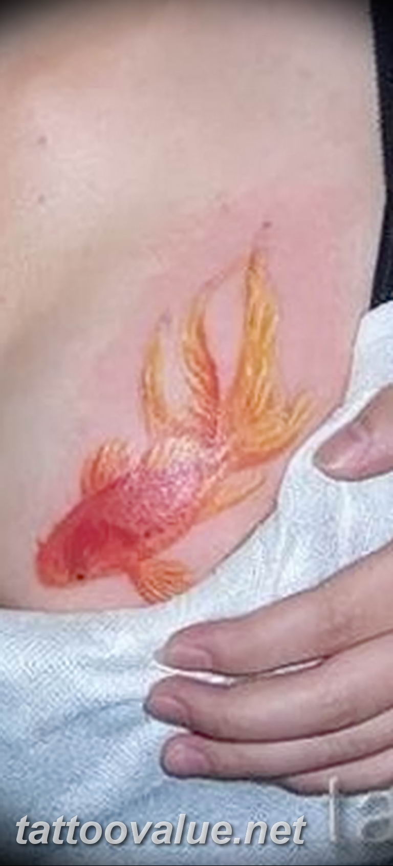 photo goldfish tattoo 04.01.2019 №073 - goldfish tattoo idea - tattoovalue.net