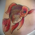 photo goldfish tattoo 04.01.2019 №083 - goldfish tattoo idea - tattoovalue.net