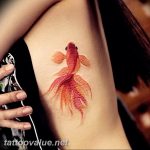photo goldfish tattoo 04.01.2019 №092 - goldfish tattoo idea - tattoovalue.net