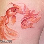 photo goldfish tattoo 04.01.2019 №102 - goldfish tattoo idea - tattoovalue.net