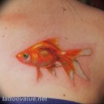 photo goldfish tattoo 04.01.2019 №104 - goldfish tattoo idea - tattoovalue.net