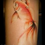 photo goldfish tattoo 04.01.2019 №110 - goldfish tattoo idea - tattoovalue.net