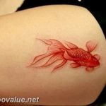 photo goldfish tattoo 04.01.2019 №116 - goldfish tattoo idea - tattoovalue.net