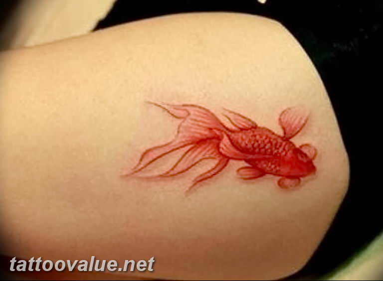 photo goldfish tattoo 04.01.2019 №116 - goldfish tattoo idea - tattoovalue.net