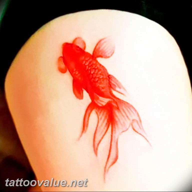photo goldfish tattoo 04.01.2019 №138 - goldfish tattoo idea - tattoovalue.net