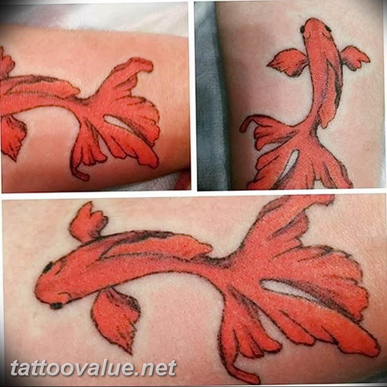 photo goldfish tattoo 04.01.2019 №186 - goldfish tattoo idea - tattoovalue.net