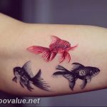 photo goldfish tattoo 04.01.2019 №192 - goldfish tattoo idea - tattoovalue.net