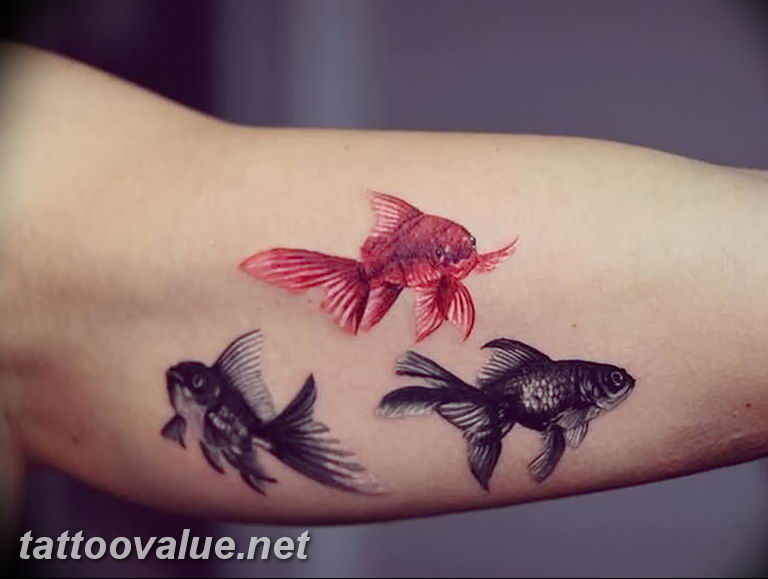 photo goldfish tattoo 04.01.2019 №192 - goldfish tattoo idea - tattoovalue.net