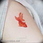 photo goldfish tattoo 04.01.2019 №199 - goldfish tattoo idea - tattoovalue.net