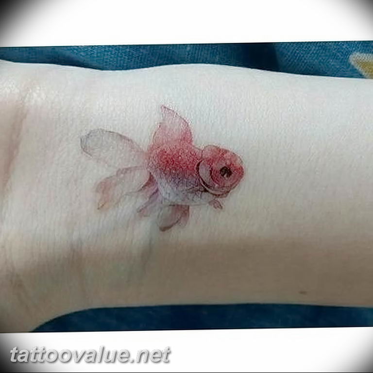photo goldfish tattoo 04.01.2019 №208 - goldfish tattoo idea - tattoovalue.net