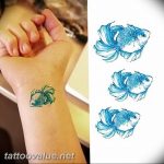 photo goldfish tattoo 04.01.2019 №219 - goldfish tattoo idea - tattoovalue.net