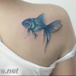 photo goldfish tattoo 04.01.2019 №224 - goldfish tattoo idea - tattoovalue.net