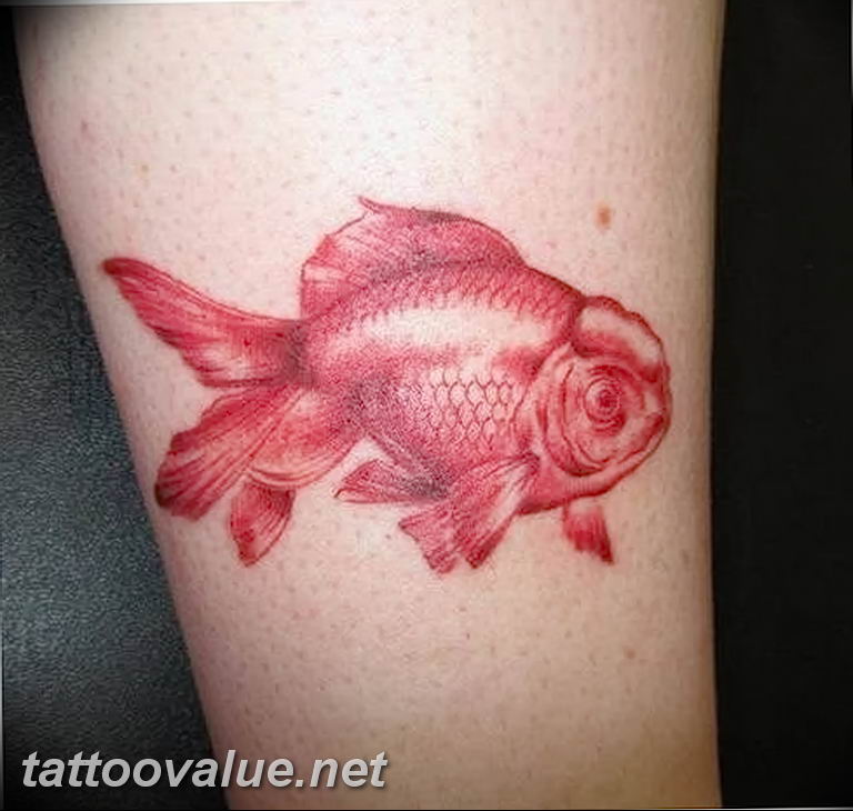 photo goldfish tattoo 04.01.2019 №399 - goldfish tattoo idea - tattoovalue.net
