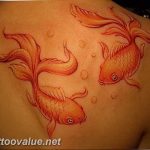 photo goldfish tattoo 04.01.2019 №409 - goldfish tattoo idea - tattoovalue.net