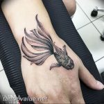 photo goldfish tattoo 04.01.2019 №414 - goldfish tattoo idea - tattoovalue.net