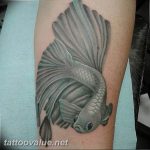 photo goldfish tattoo 04.01.2019 №418 - goldfish tattoo idea - tattoovalue.net