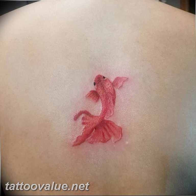 photo goldfish tattoo 04.01.2019 №423 - goldfish tattoo idea - tattoovalue.net