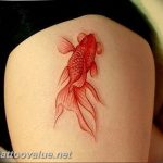 photo goldfish tattoo 04.01.2019 №424 - goldfish tattoo idea - tattoovalue.net