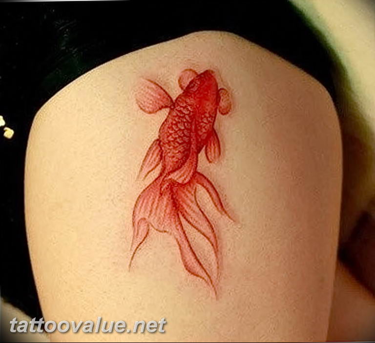 photo goldfish tattoo 04.01.2019 №424 - goldfish tattoo idea - tattoovalue.net