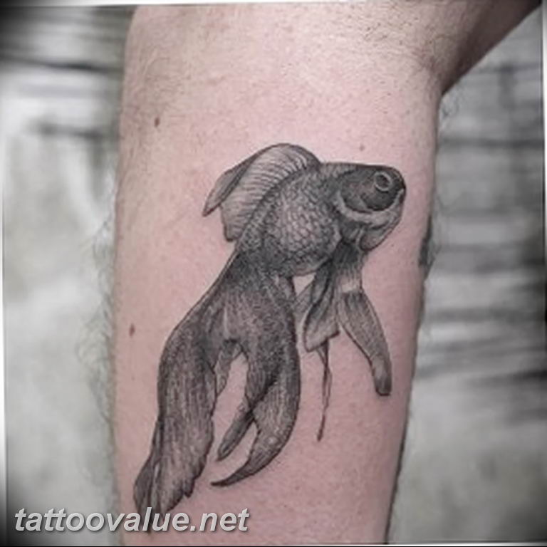 photo goldfish tattoo 04.01.2019 №427 - goldfish tattoo idea - tattoovalue.net