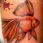photo goldfish tattoo 04.01.2019 №441 - goldfish tattoo idea - tattoovalue.net