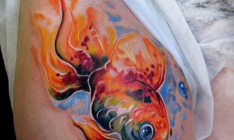 photo goldfish tattoo 04.01.2019 №444 - goldfish tattoo idea - tattoovalue.net